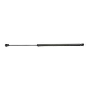Tailgate Strut - RIDEX 219G0310