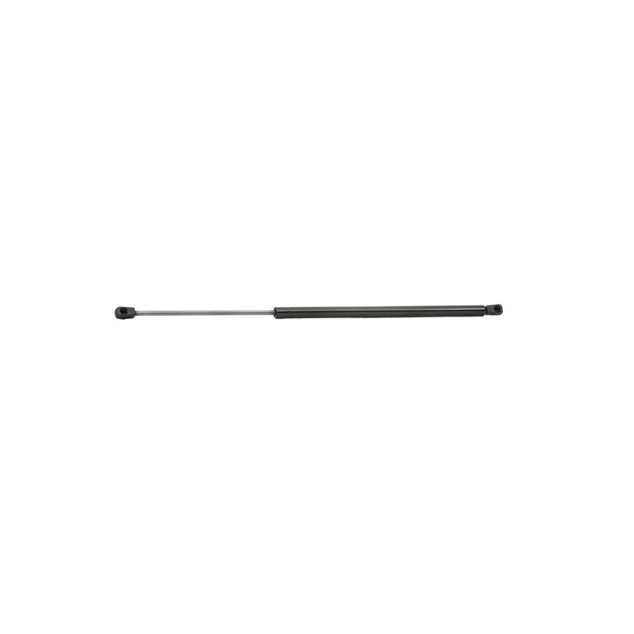 Tailgate Strut - RIDEX 219G0310