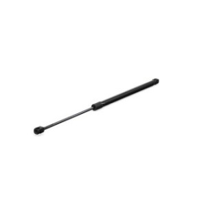 Tailgate Strut - RIDEX 219G0316