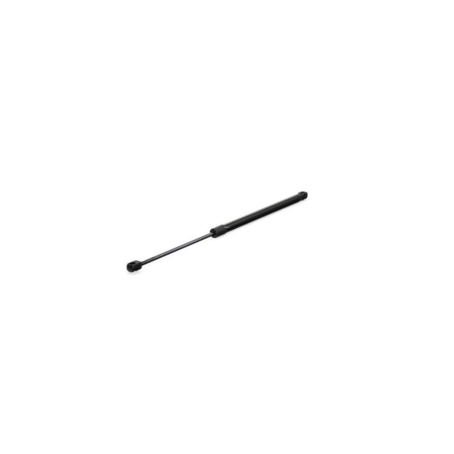 Tailgate Strut - RIDEX 219G0316