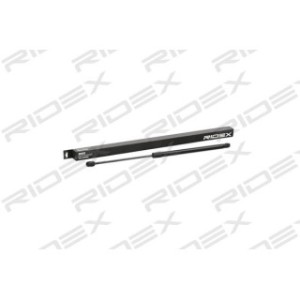 Tailgate Strut - RIDEX 219G0316