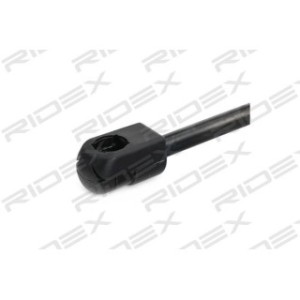 Tailgate Strut - RIDEX 219G0316