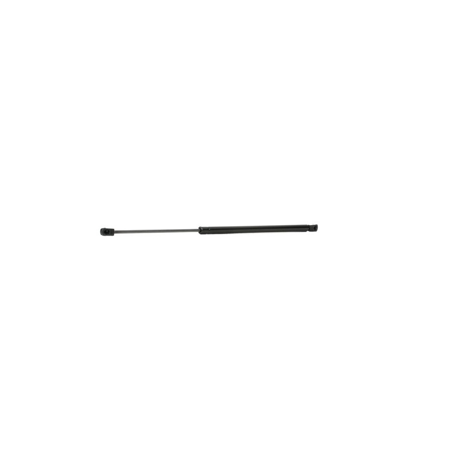 Tailgate Strut - RIDEX 219G0148