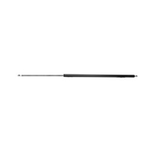 Tailgate Strut - RIDEX 219G0149