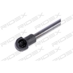 Tailgate Strut - RIDEX 219G0312