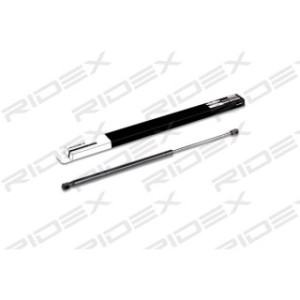 Tailgate Strut - RIDEX 219G0151