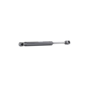Tailgate Strut - RIDEX 219G0156