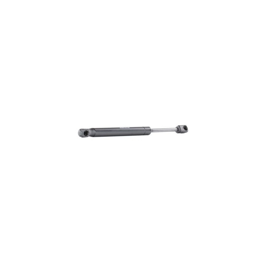 Tailgate Strut - RIDEX 219G0156