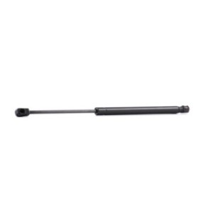 Tailgate Strut - RIDEX 219G0158