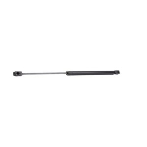 Tailgate Strut - RIDEX 219G0161