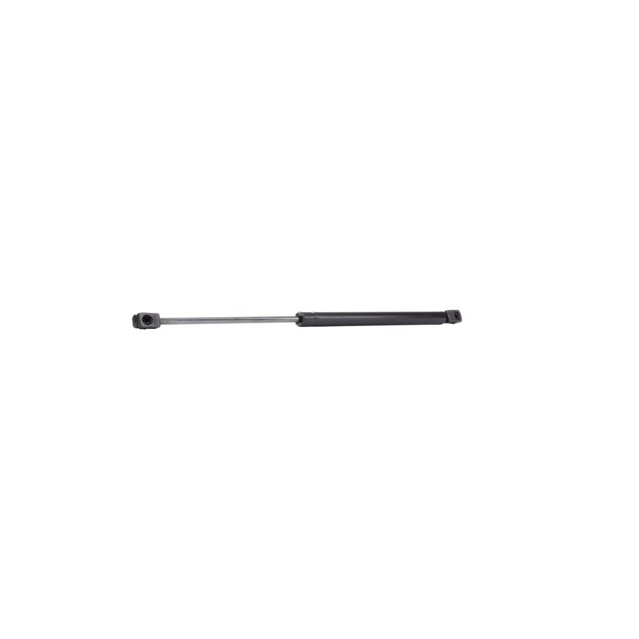 Tailgate Strut - RIDEX 219G0161