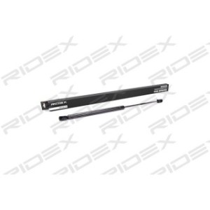 Tailgate Strut - RIDEX 219G0161