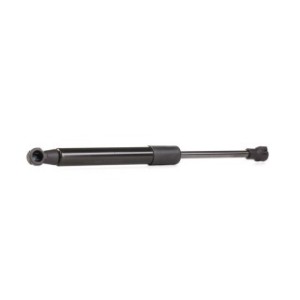 Tailgate Strut - RIDEX 219G0163