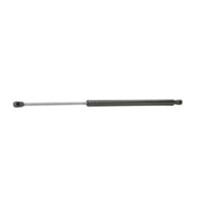 Tailgate Strut - RIDEX 219G0164
