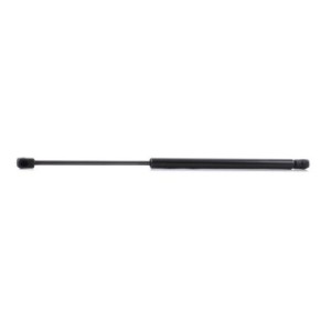 Tailgate Strut - RIDEX 219G0165