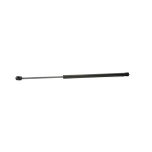 Tailgate Strut - RIDEX 219G0179