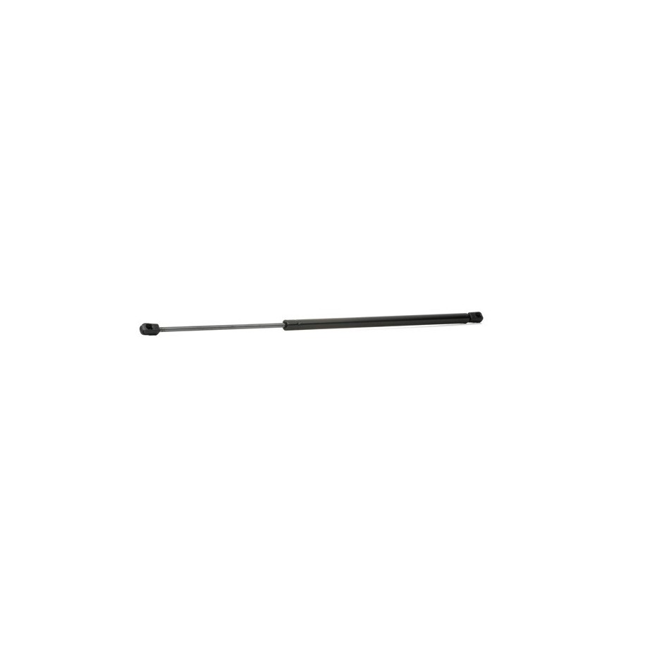 Tailgate Strut - RIDEX 219G0179