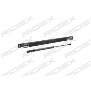 Tailgate Strut - RIDEX 219G0181