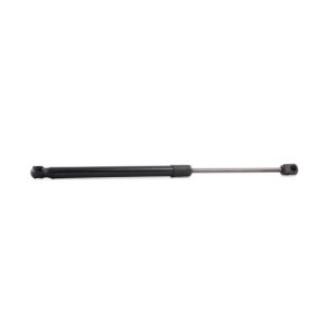 Tailgate Strut - RIDEX 219G0182