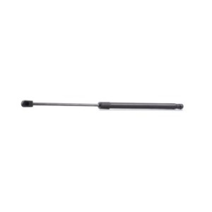 Tailgate Strut - RIDEX 219G0183