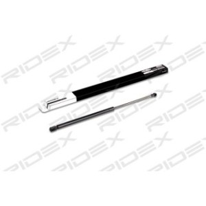 Tailgate Strut - RIDEX 219G0185