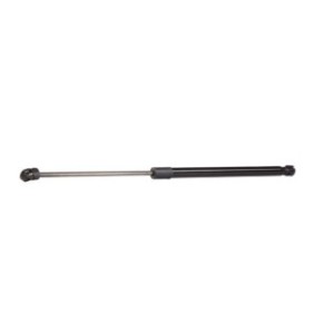 Tailgate Strut - RIDEX 219G0187
