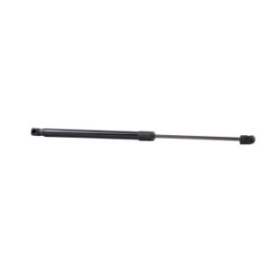 Tailgate Strut - RIDEX 219G0188