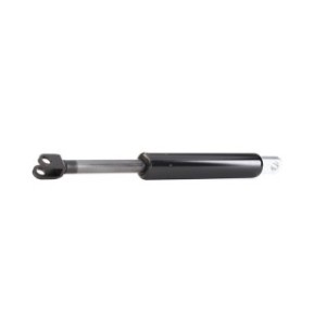 Tailgate Strut - RIDEX 219G0191