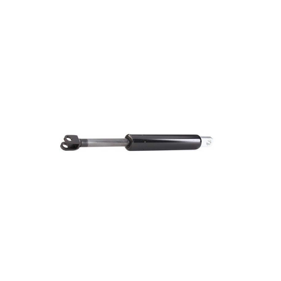 Tailgate Strut - RIDEX 219G0191