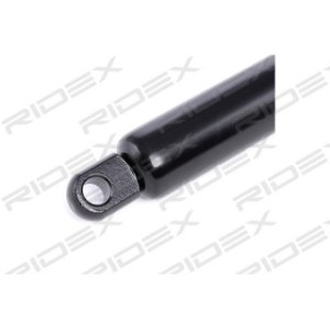 Tailgate Strut - RIDEX 219G0191