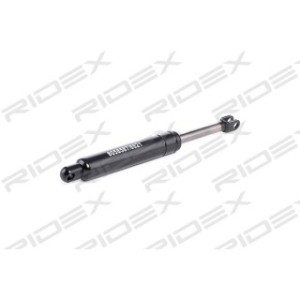 Tailgate Strut - RIDEX 219G0191