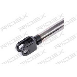 Tailgate Strut - RIDEX 219G0191