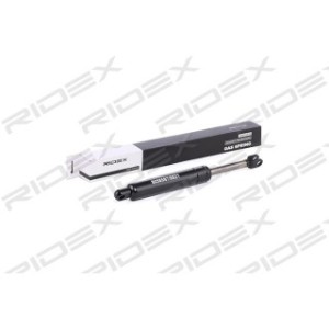 Tailgate Strut - RIDEX 219G0191