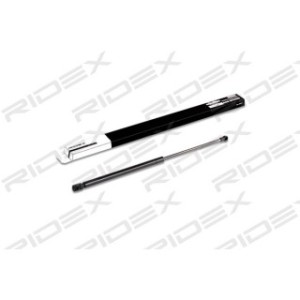 Tailgate Strut - RIDEX 219G0193