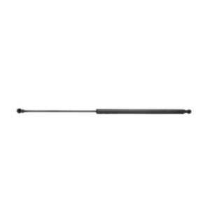 Tailgate Strut - RIDEX 219G0195