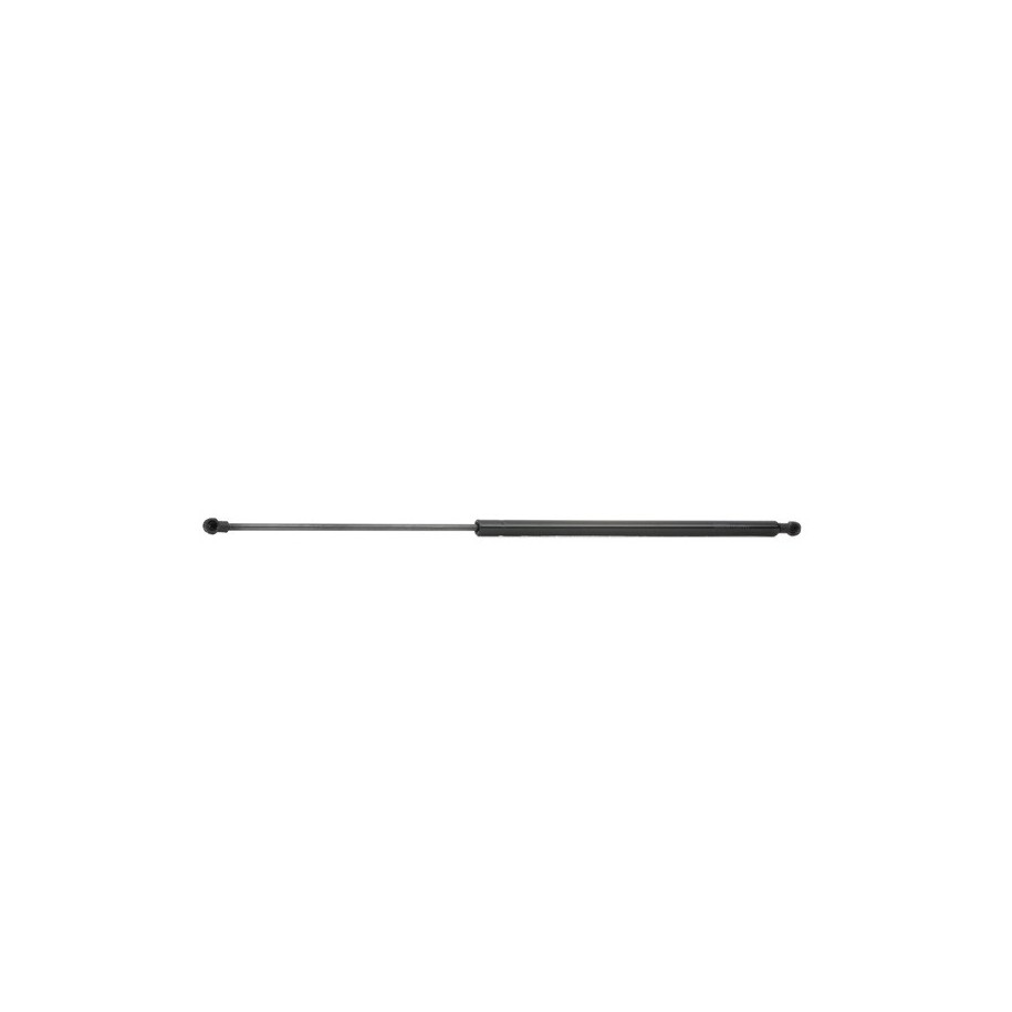 Tailgate Strut - RIDEX 219G0195