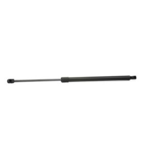 Tailgate Strut - RIDEX 219G0196