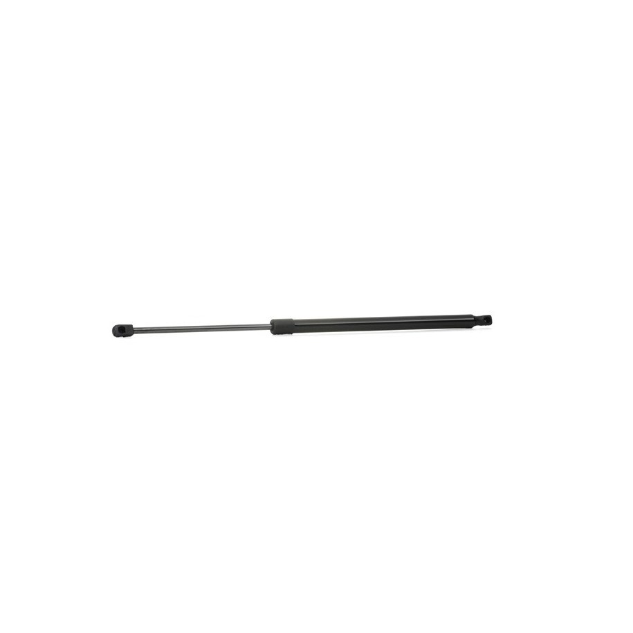 Tailgate Strut - RIDEX 219G0196
