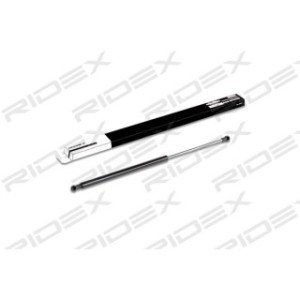 Tailgate Strut - RIDEX 219G0198