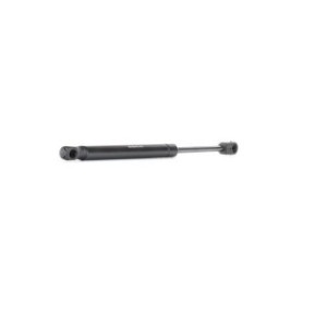 Tailgate Strut - RIDEX 219G0203
