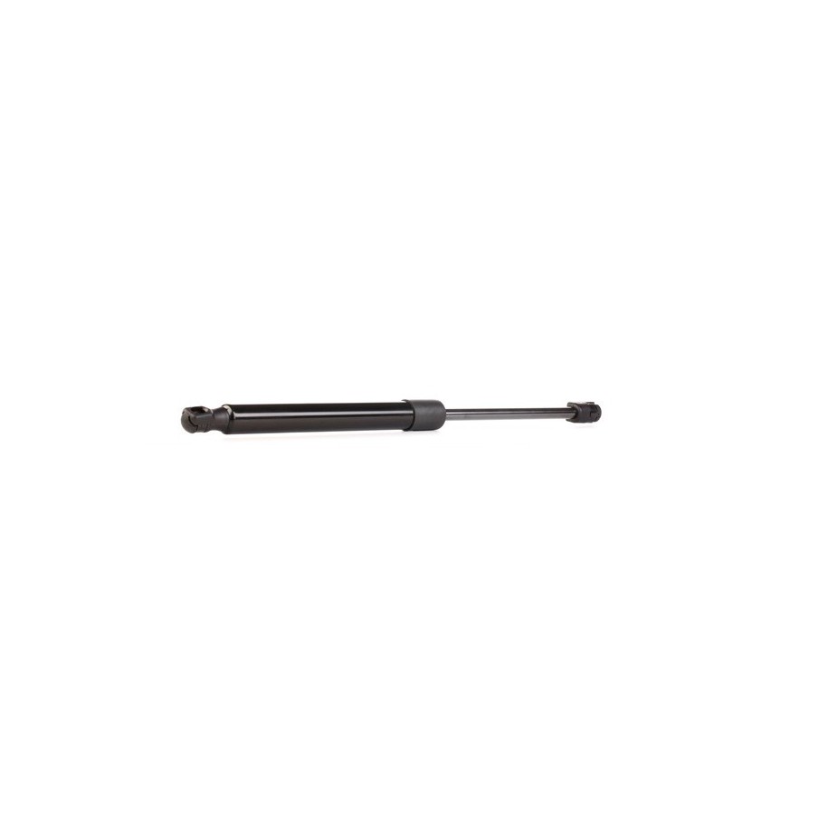 Tailgate Strut - RIDEX 219G0205