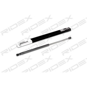 Tailgate Strut - RIDEX 219G0207