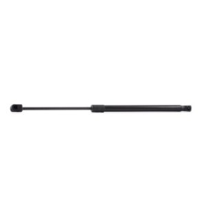 Tailgate Strut - RIDEX 219G0214