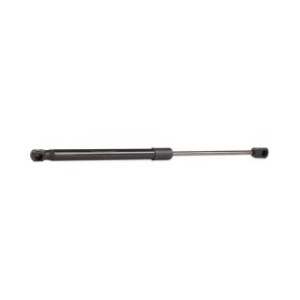 Tailgate Strut - RIDEX 219G0309