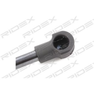 Tailgate Strut - RIDEX 219G0309