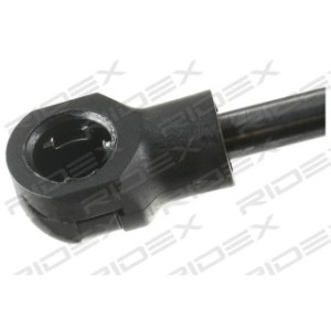Tailgate Strut - RIDEX 219G0216