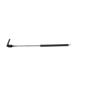 Tailgate Strut - RIDEX 219G0304