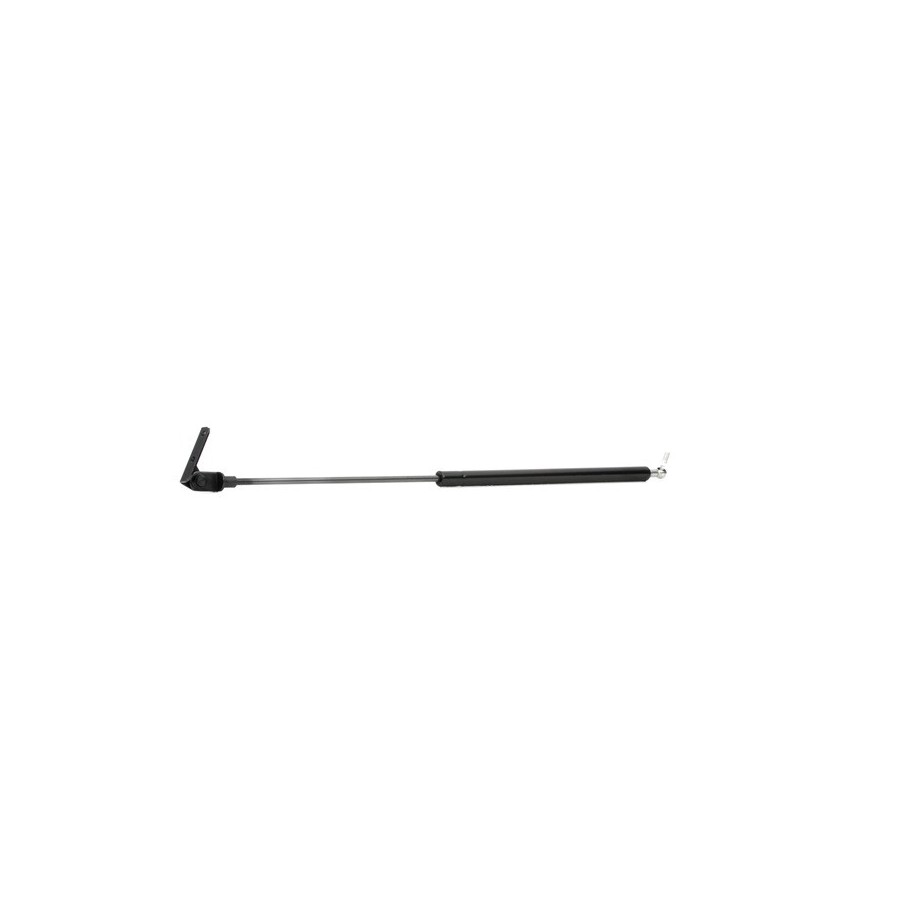Tailgate Strut - RIDEX 219G0304