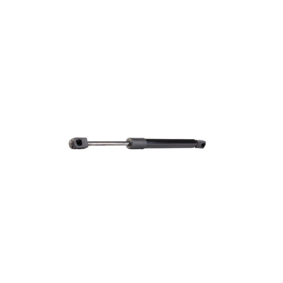 Tailgate Strut - RIDEX 219G0303