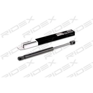 Tailgate Strut - RIDEX 219G0303